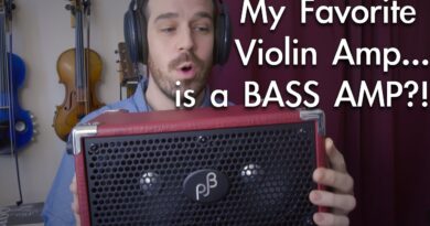 The Best Violin Amp I've Ever Played... Is A Bass Amp