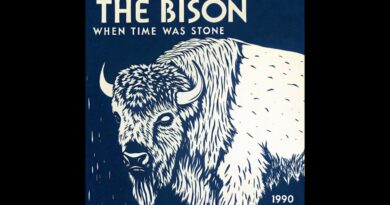 The Bison - When Time Was Stone (1990) [Full Album]