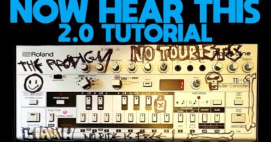 The Prodigy - Now Hear This v2.0 Live '94 Tutorial On Liam Howlett's Old TB-03