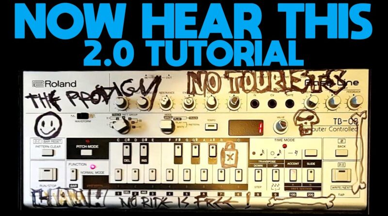 The Prodigy - Now Hear This v2.0 Live '94 Tutorial On Liam Howlett's Old TB-03