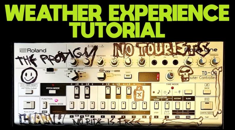 The Prodigy - Weather Experience On Liam Howlett's TB-03