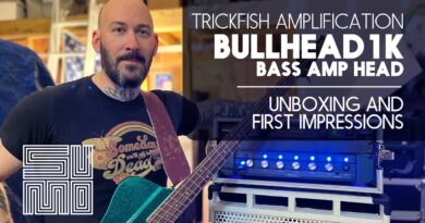 Trickfish Amplification Bullhead 1K First Impressions