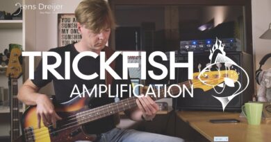 Trickfish Amplification Bullhead 1K - Jens Dreijer Demo