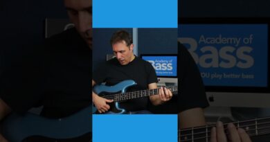 Try Some Different Slap Bass Techniques #bass #bassguitar #shorts #slapbass #bassline