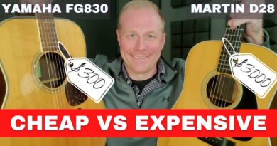 Yamaha FG830 vs Martin D28 // $300 vs $3000 Guitar // Cheap vs Expensive