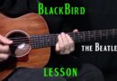 how to play Blackbird by The Beatles_Paul McCartney – acoustic guitar lesson