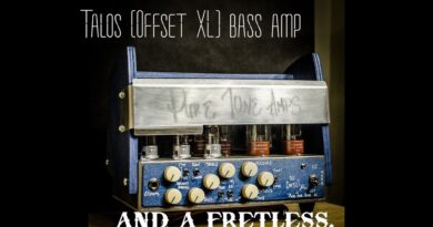 the Talos bass amp - Fretless bass