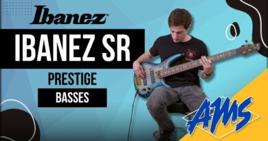 3 NEW Ibanez Prestige Basses | Tone-Shaping to the Max