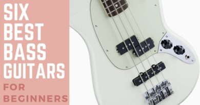 6 Best Bass Guitars for Beginners 2017