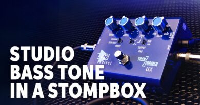 API TranZformer LLX Bass EQ/Boost Pedal with Overdrive Demo