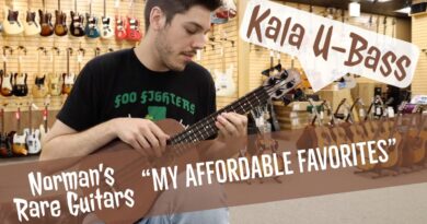 "Affordable Favorites" - Kala U-Bass | Norman's Rare Guitars