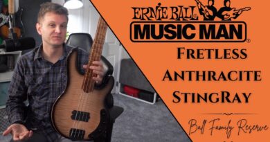 BFR Fretless StingRay Anthracite Review