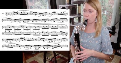 Bass Clarinet: 10 Reasons Your High Notes Sound Bad (it might not be your fault)