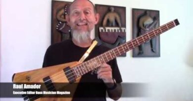 Bass Musician Magazine Reviews the Bootlegger Ace 4 String Headless Travel Pro Bass