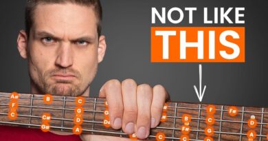 Bass Scales for Beginners (5 Stupidly Simple Steps)