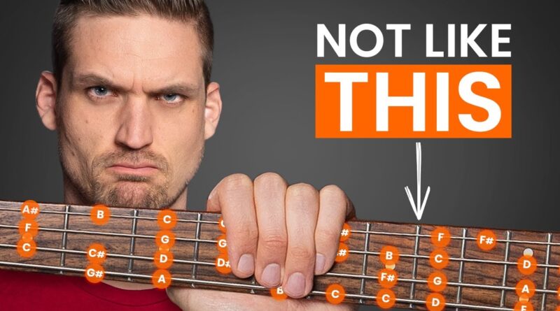 Bass Scales for Beginners (5 Stupidly Simple Steps)