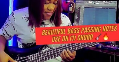 Beautiful bass passing notes use on (1) chord ????????