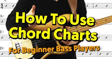 Beginner Bass Player Guide To Chord Charts