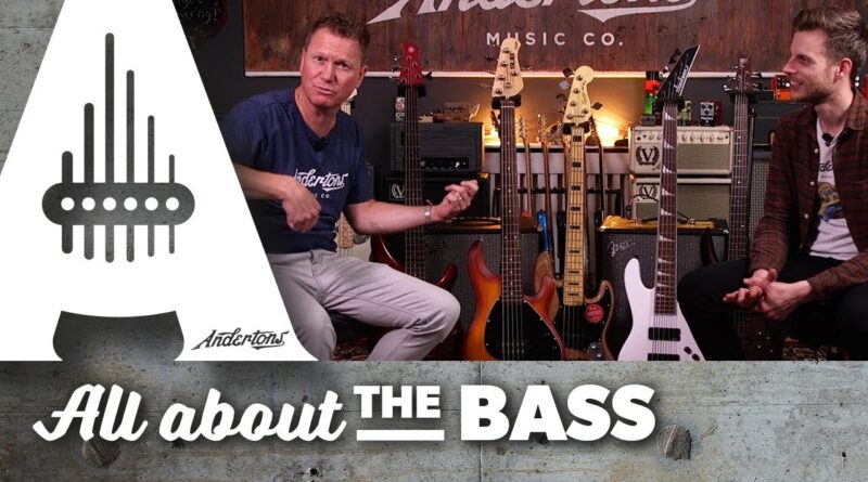 Best 5-String Bass Under £500