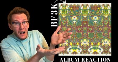 Butterfly 3000 Album Reaction - King Gizzard & The Lizard Wizard