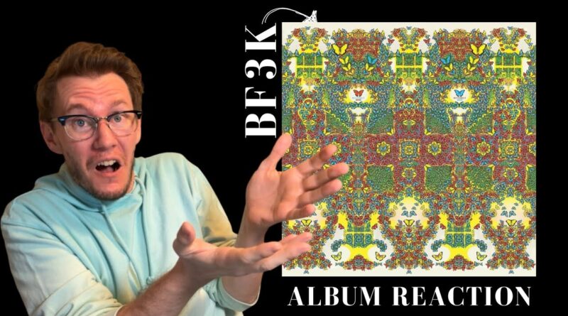 Butterfly 3000 Album Reaction - King Gizzard & The Lizard Wizard