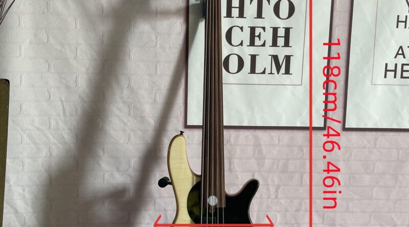 Factory Tai Chi Electric Bass Guitar Rosewood Fretboard Fixed Bridge 5Strings