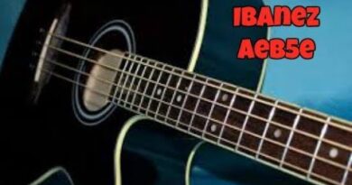 Ibanez AEB5E Acoustic Bass Guitar Review