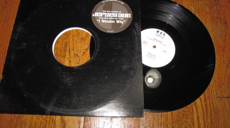 JERSEY AVE. - I WONDER WHY - WHITE LABEL PROMO MCA RECORDS 12" SINGLE