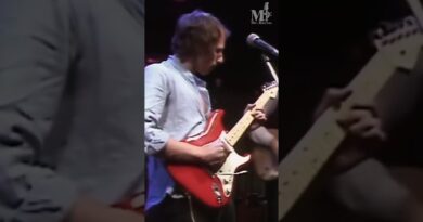 Mark Knopfler Guitar Solo | Dire Straits - Sultans of Swing