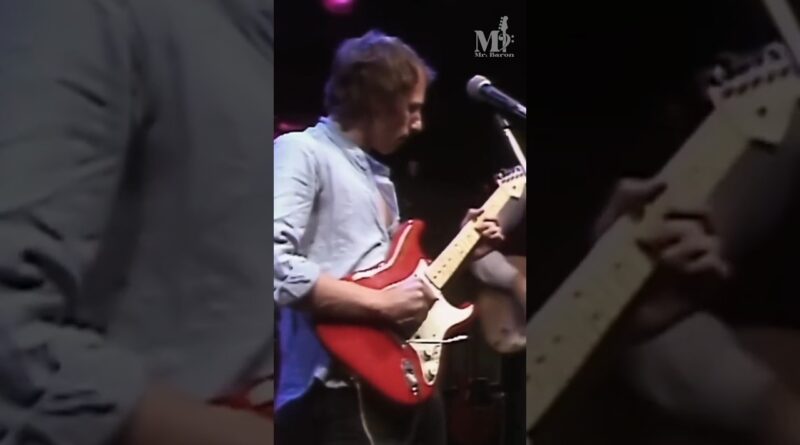 Mark Knopfler Guitar Solo | Dire Straits - Sultans of Swing