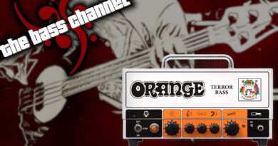 Orange Terror Bass 500 Demo