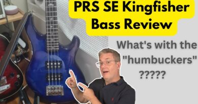 PRS SE Kingfisher Bass: an honest review (and mods) of a dishonest bass