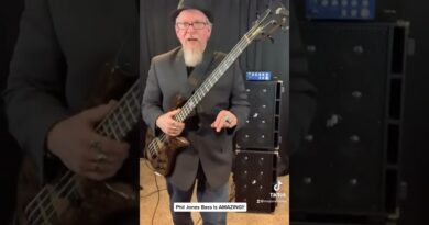 Phil Jones Bass BP-800 testimony