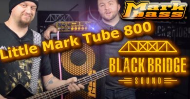 Possibly The Most Important Markbass Review You'll Ever See - Markbass Little Mark Tube 800