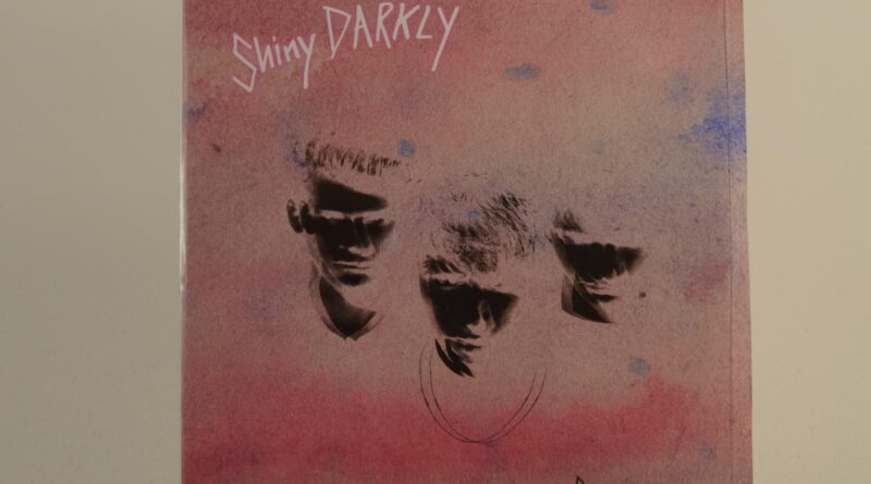 SHINY DARKLY SOFT SKIN (H1) 2 Track Promo CD Single Picture Sleeve CRUNCHY FROG