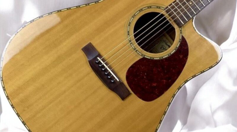 Shenandoah SD-34C Used Acoustic Guitar Lacewood Body, Thin Neck