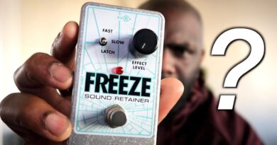 Should you use this Pedal???