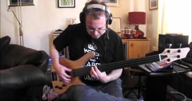 Stagg BC 300 FL Fretless Bass, Review and Demo, Best Budget Bass