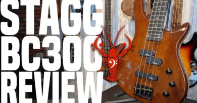 Stagg BC300 Bass Review - Budget Buck or Deer in Headlights? - LowEndLobster Review