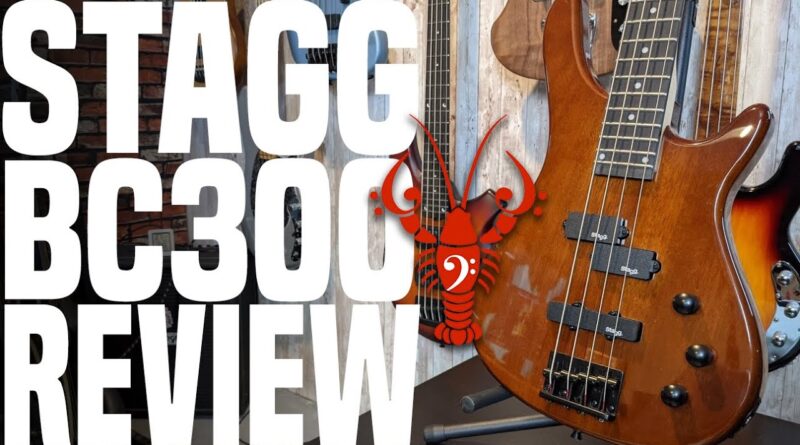 Stagg BC300 Bass Review - Budget Buck or Deer in Headlights? - LowEndLobster Review