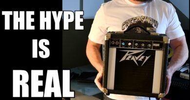 The $100 Queens of the Stoneage bass amp. Songs for the Deaf Go with the Flow Peavey Decade amp test