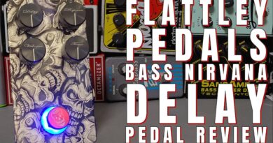 The Flattley Nirvana Delay - Is This The Best Delay Pedal For Bass?