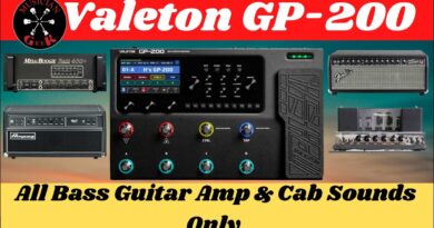 Unveiling the Hidden Sounds of the Valeton GP 200 Bass Guitar Amp & Cab