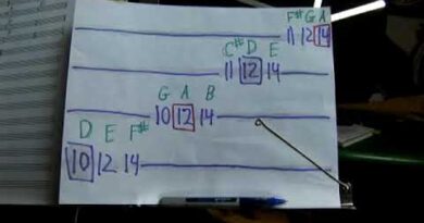 Walking the Chords of a D Major Scale for Advanced Bass Guitar