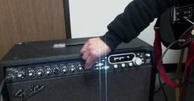 What Amp and Settings Do I Use? Fender CyberTwin Amp - Deluxe Reverb '65