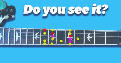 What do you see when you look at the guitar fretboard?