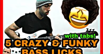 5 FUNKY Intermediate Bass licks & fills!!  || Luis Adonay