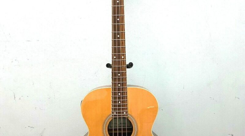 Acoustic-Electric Bass Jumbo Guitar