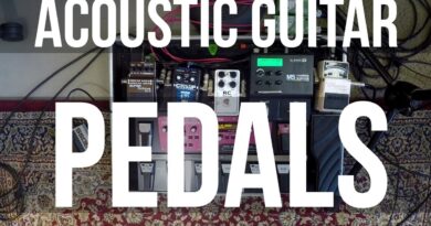 Carl Wockner - Acoustic Guitar Pedals for Live Gigs PART 2