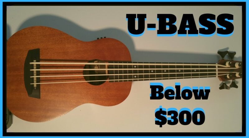 Cheapest U-Bass: Kala Wanderer Review and Demo